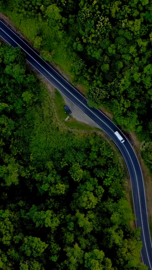 A winding road through dense green forest, from Narayan’s original footage