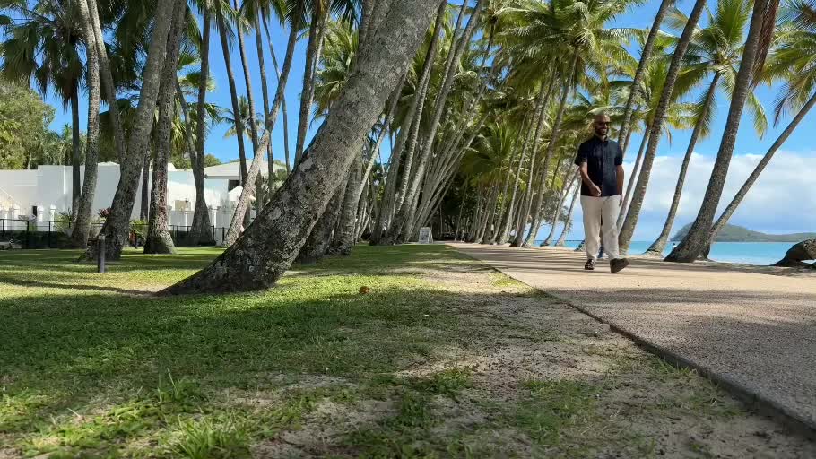 Palm Cove palm-lined beachfront
